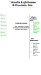 Mobile Screenshot of ameliaislandlighthouse.org